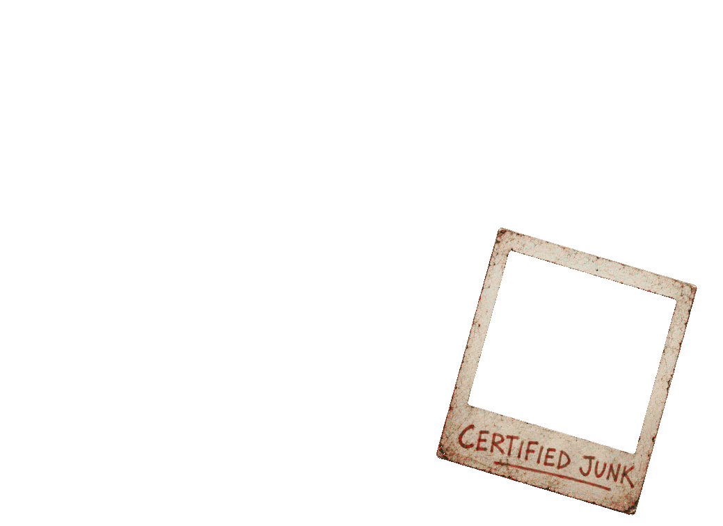 Vehicle image frame